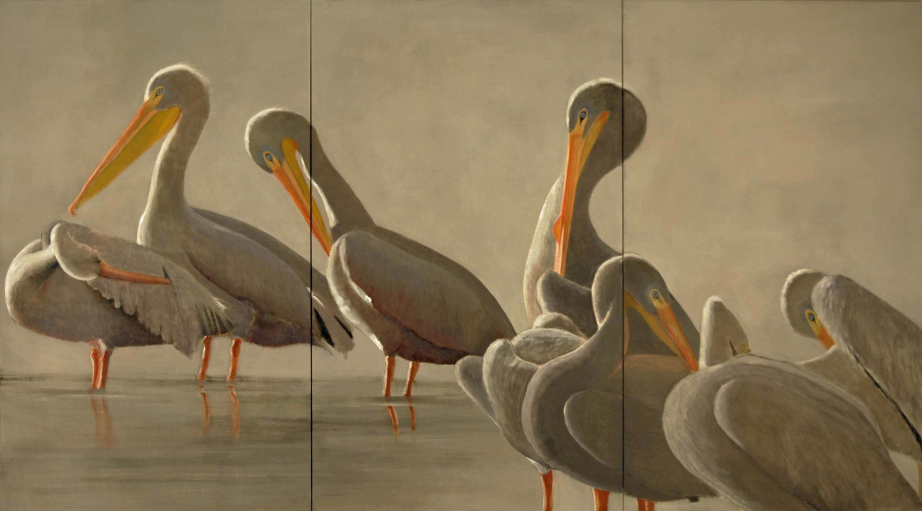 American-White-Pelicans-triptych-full-apx