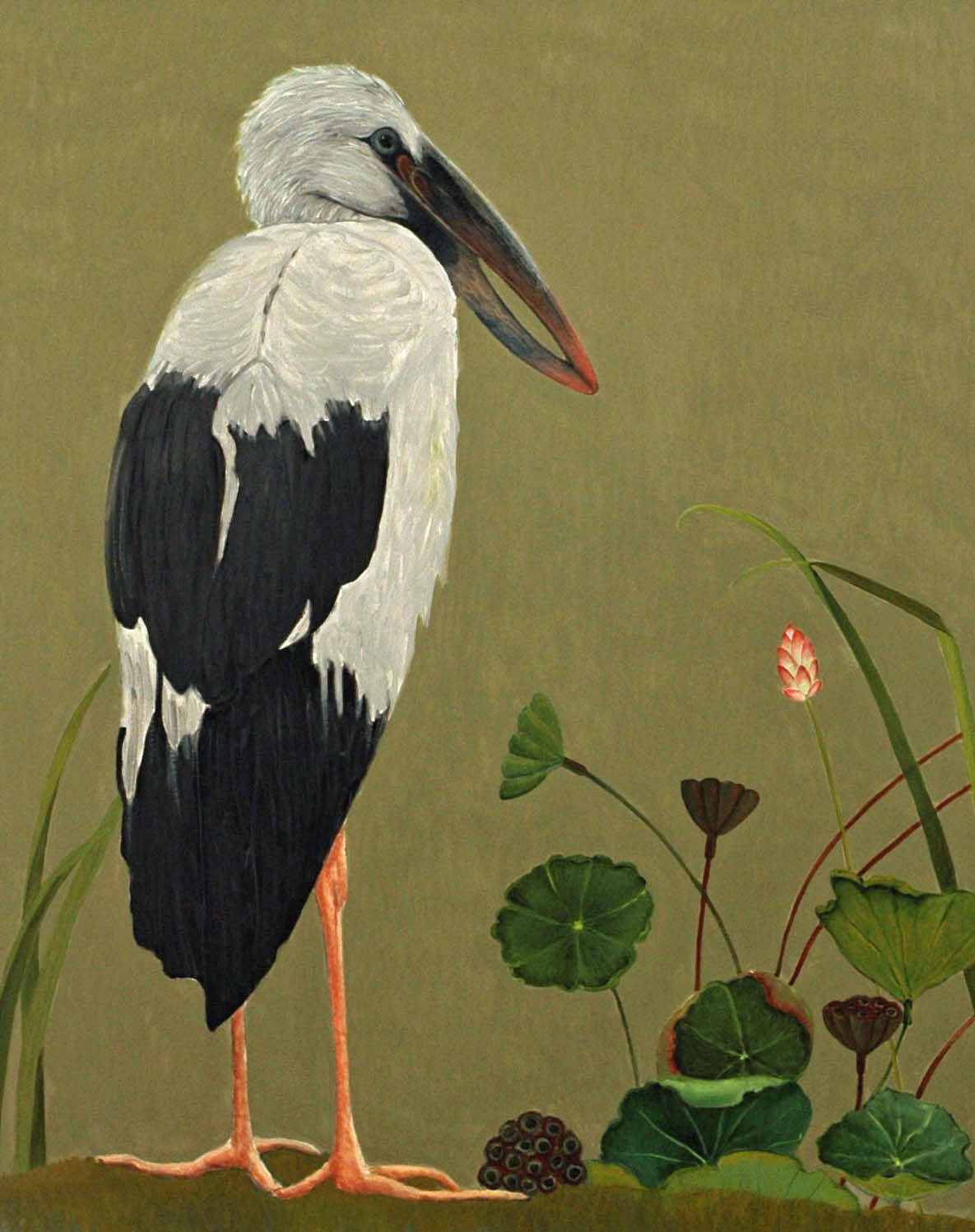 Asian-Openbilled-Stork-60-x-48-2012-full-apx