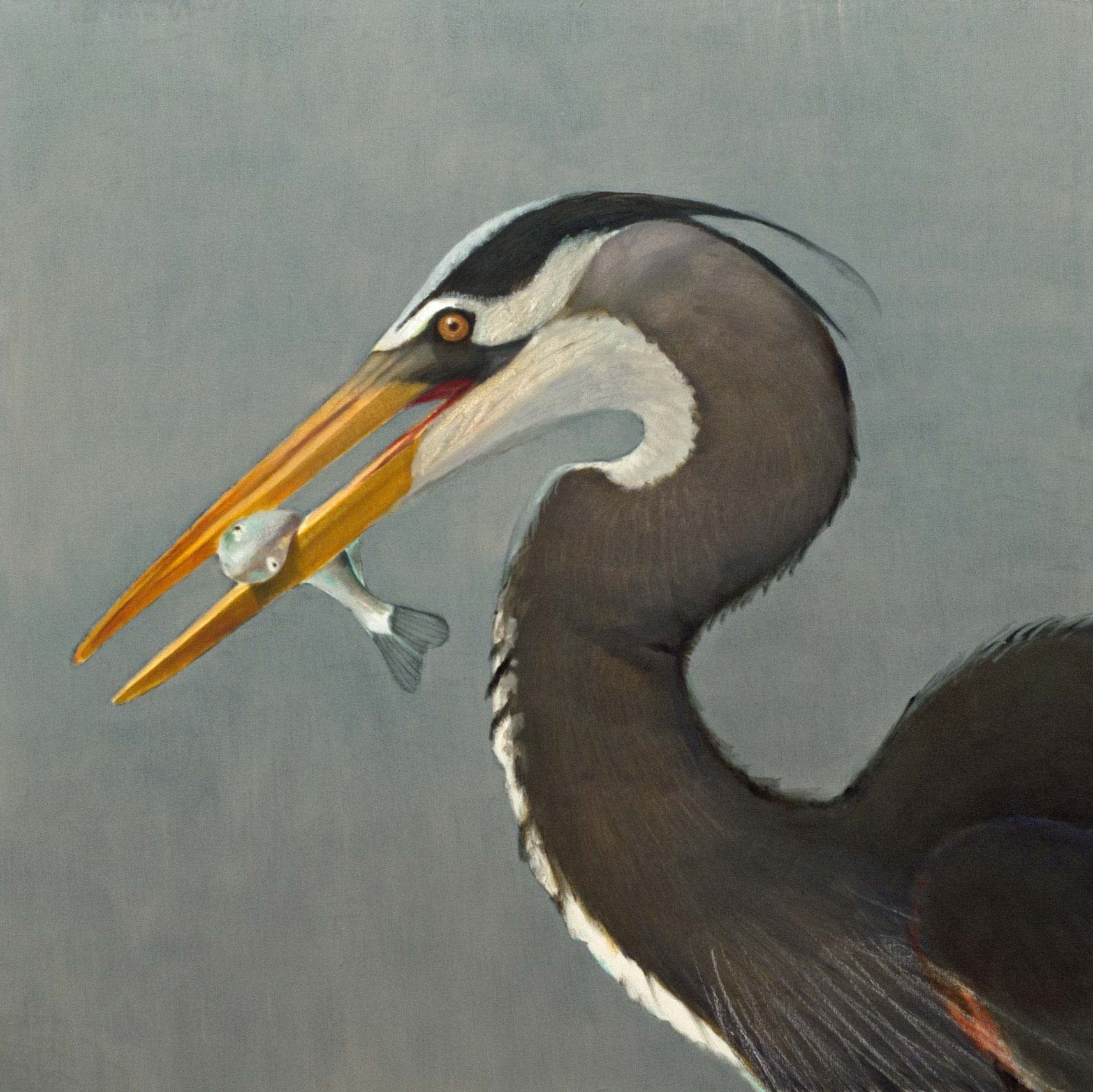 GreatBlueHeron136x362007