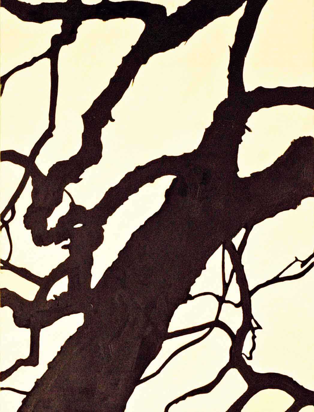 Never-Seen-Again--Negros-Celestial-Monarch-48x36web