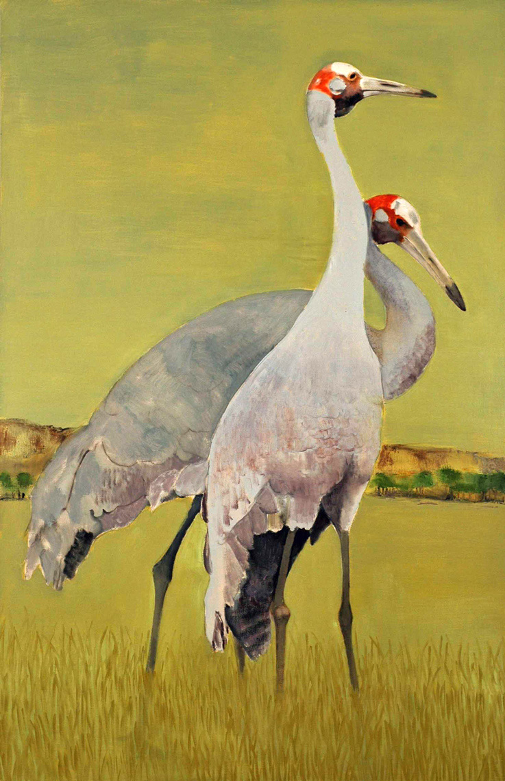 SarusCranes72x472007
