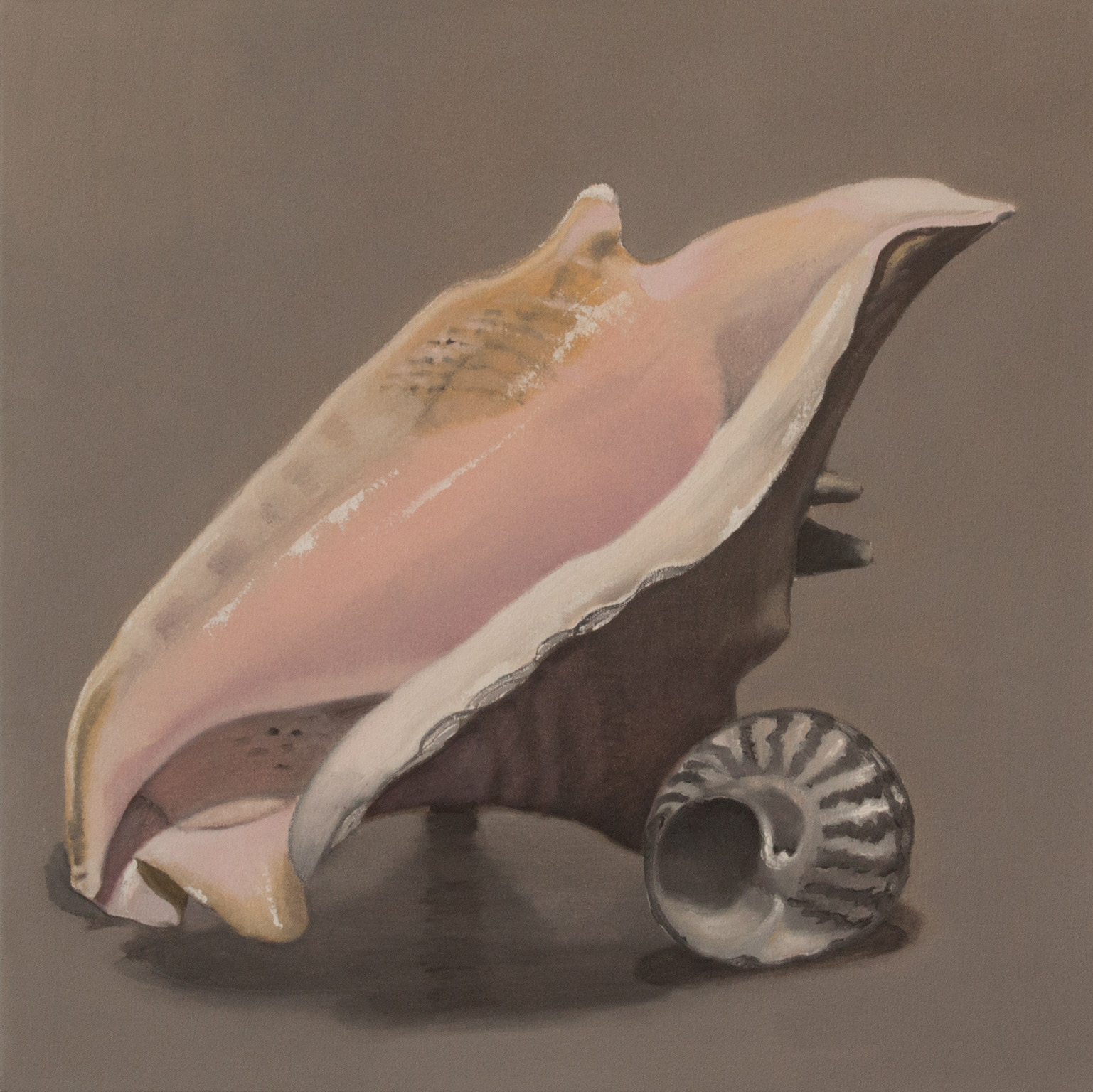 Sea Shell 24x24 2017 web