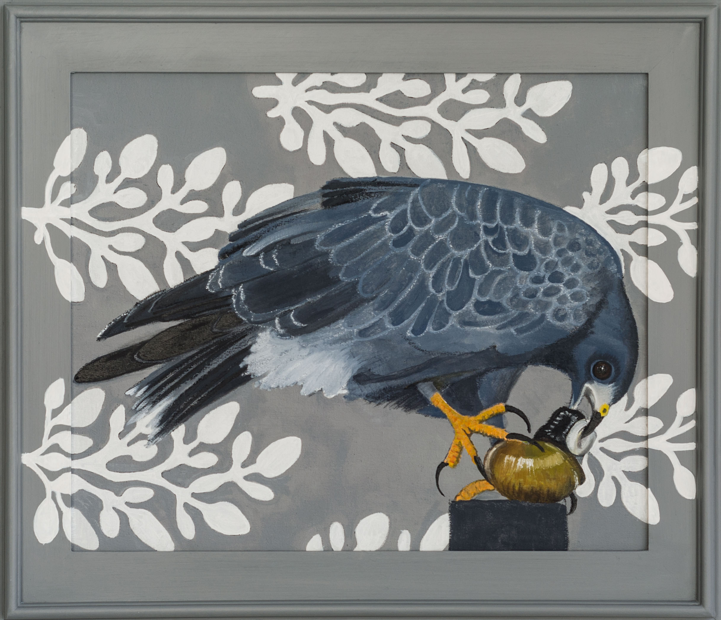 Snail Kite 26x30 (framed) Oil on canvas 2015 web