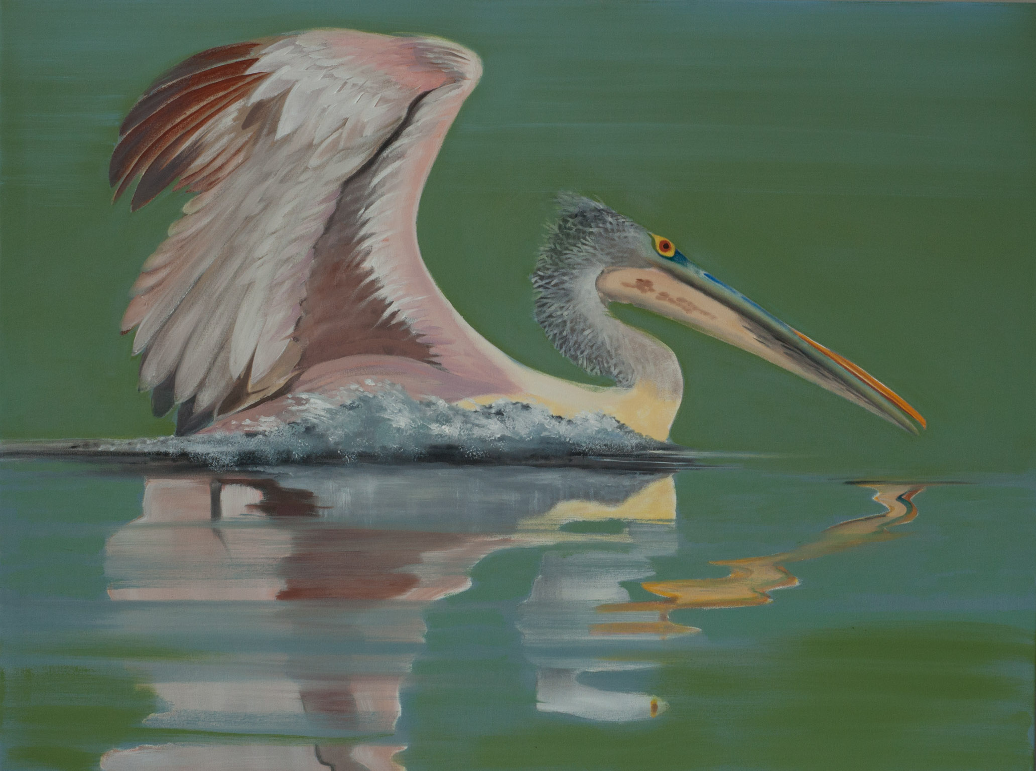 Spot-billed Pelican Beira Lake 2 36x48 web