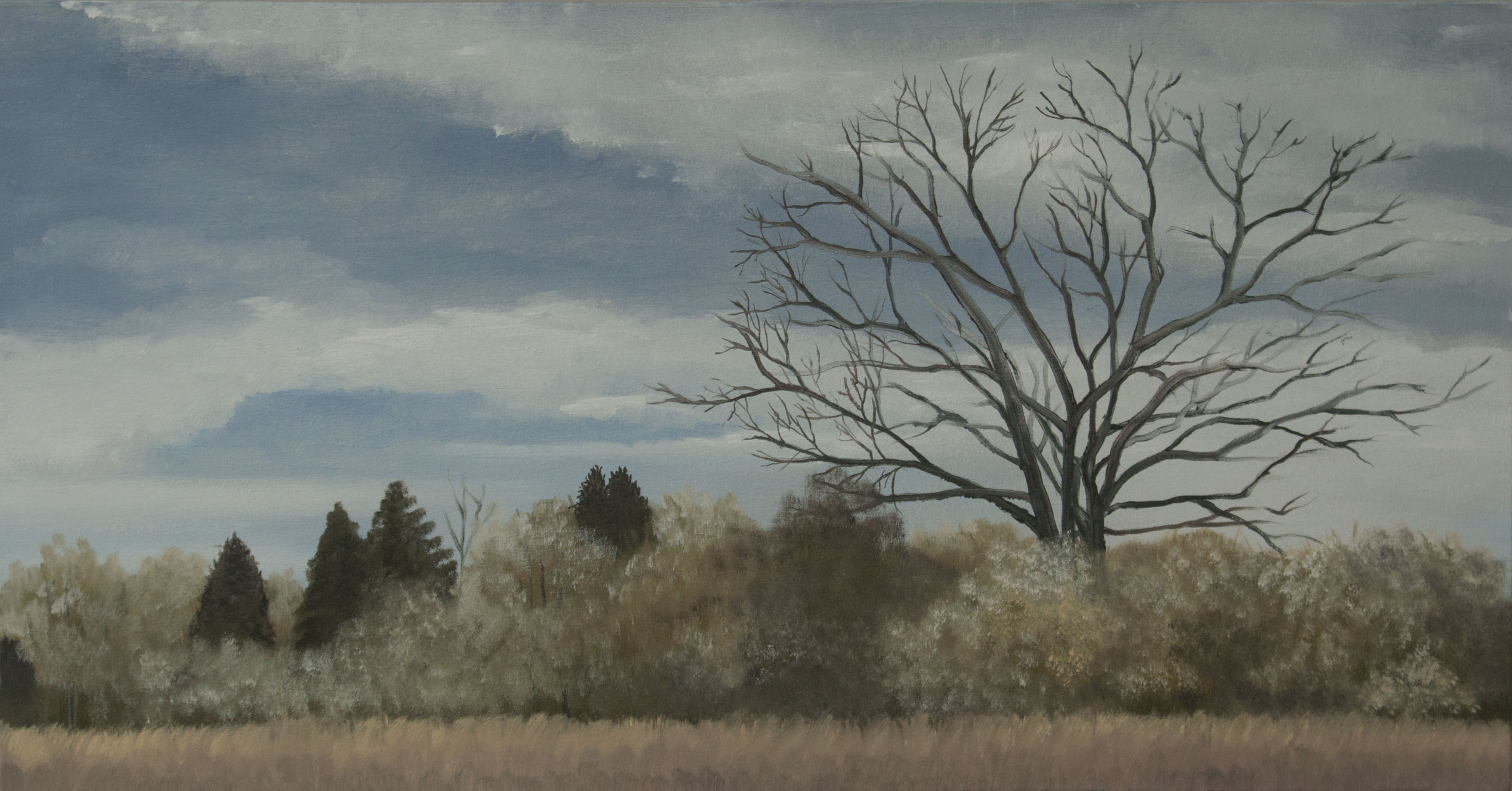 The Field Border 24x46