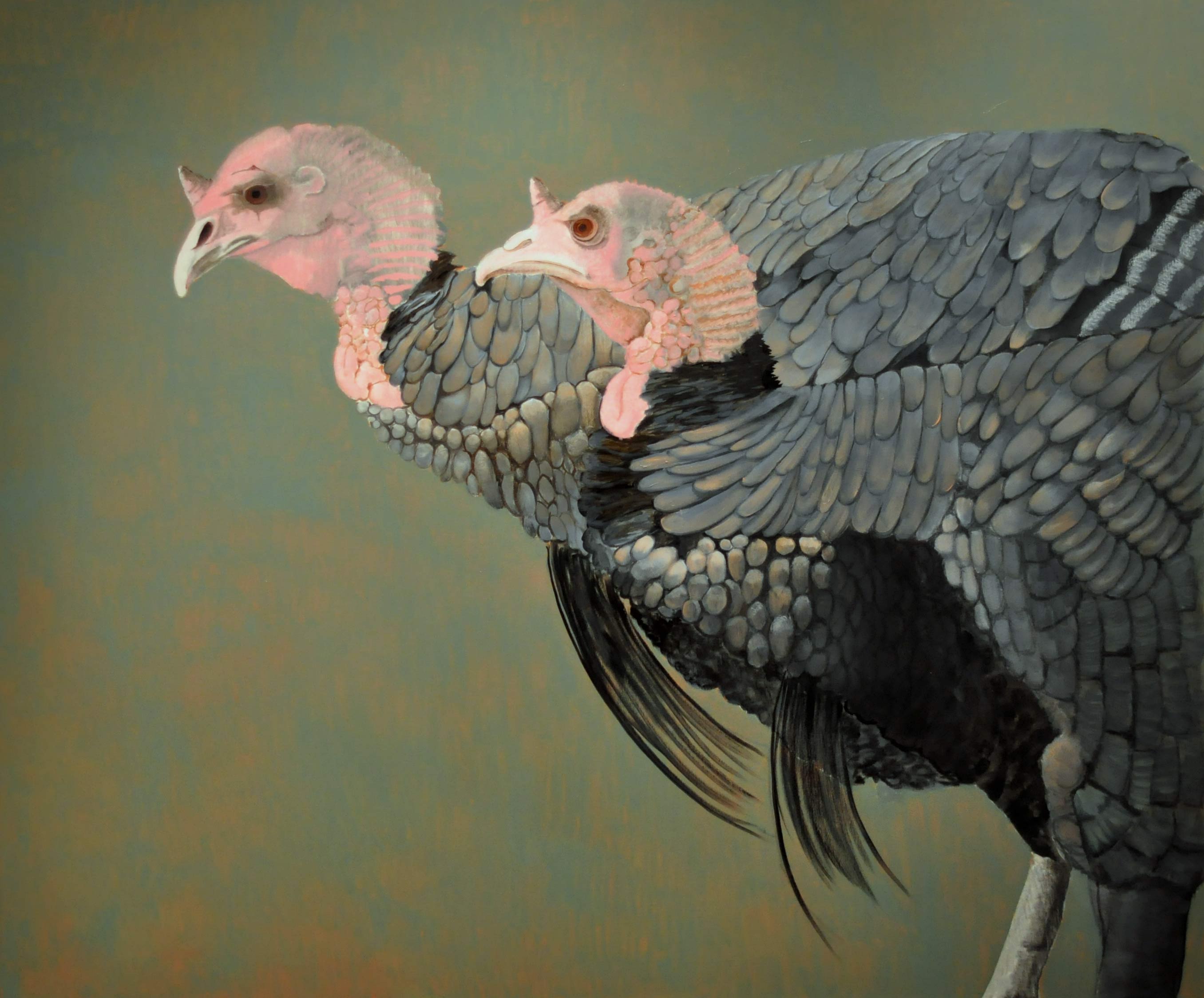 Turkey6web